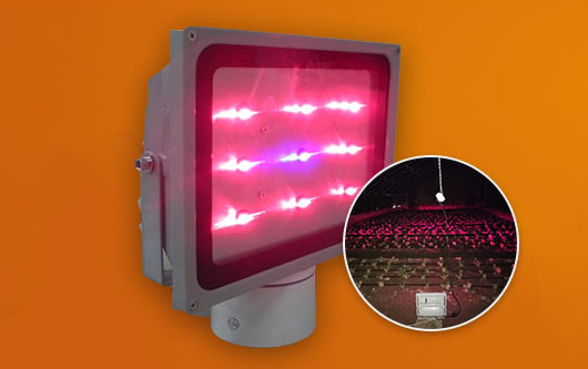 1606570007723383.jpg 01.jpg