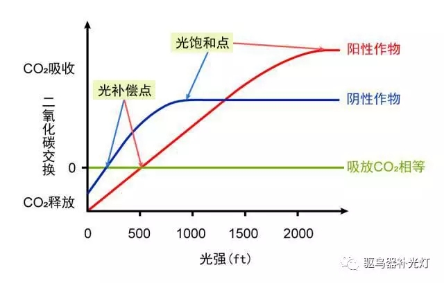 640.webp.jpg