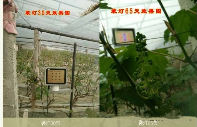 微信图片_20210203153350.jpg