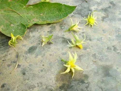 1615347911391919.jpg 1615347911391919.jpg