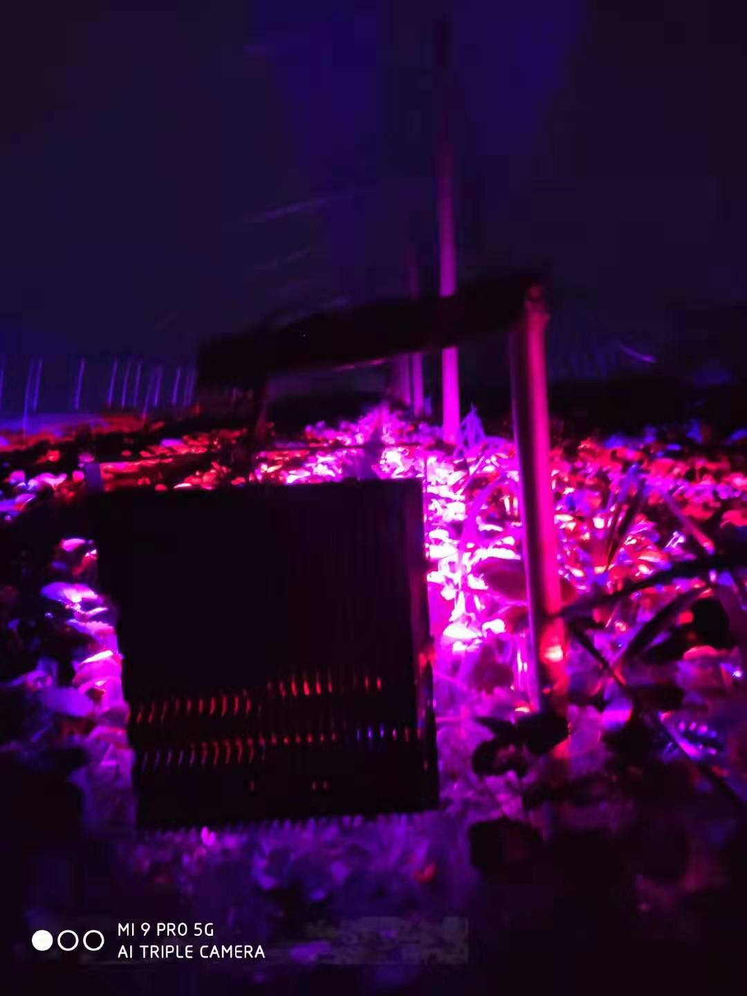 微信图片_20210312153847.jpg