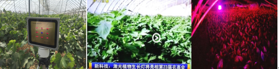 QQ截图20210810182217.png