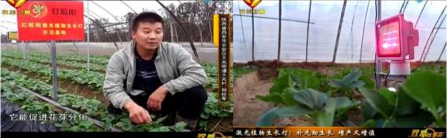 QQ截图20210810182256.png