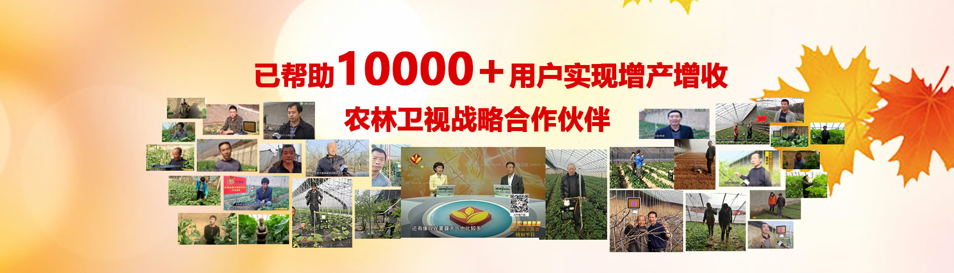 工业级产品可用10年