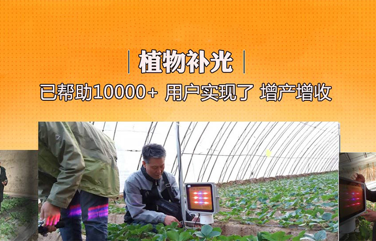 植物<font color='red'>补光灯</font>