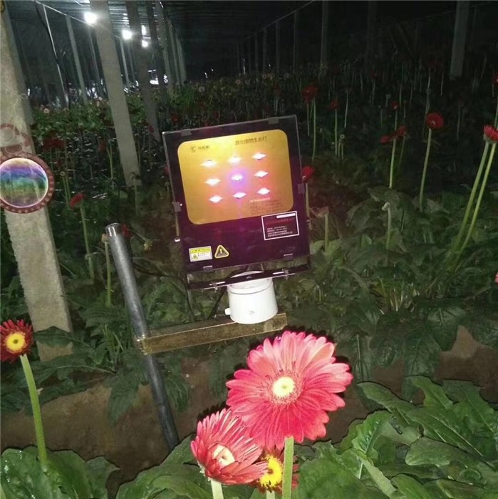激光植物生长灯可以有效预防病害